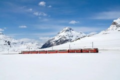 Trenino-rosso-del-Bernina-vista-panoramica